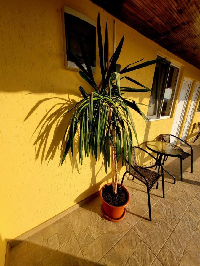 Cabana Varad Coronini Moldova Veche Exterior photo